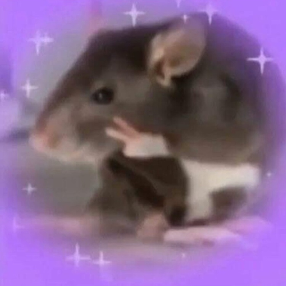 Meet your Posher, Slow